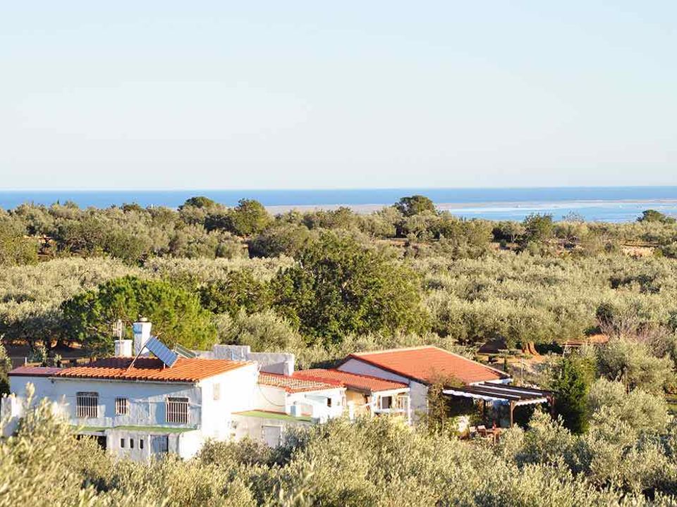 Landejendom i L'Ampolla, Tarragona - foto 1